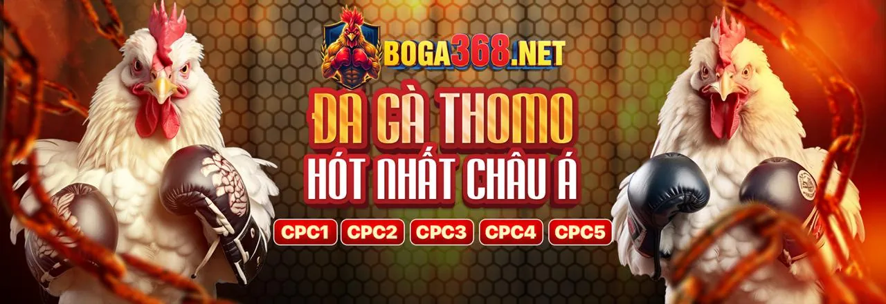 Nền tảng đăng nhập WinVN với các trò chơi cá cược trực tuyến đa dạng